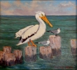 Pelican and Friends by Flint Reed