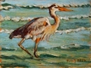 Coastal seagulls, pelicans, and other seabirds in original fineart oil painting by Flint Reed